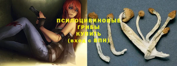 бошки Ладушкин