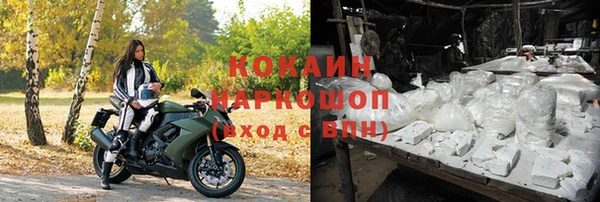 бошки Ладушкин