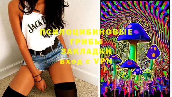 бошки Ладушкин
