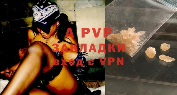бошки Ладушкин