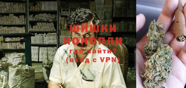 бошки Ладушкин