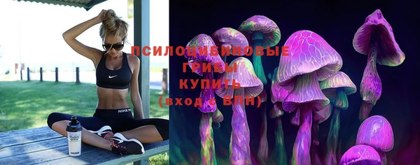 амф Лабытнанги