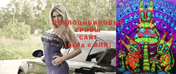 бошки Ладушкин